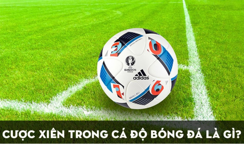 Hướng dẫn cách tính xiên mới nhất trong bóng đá 