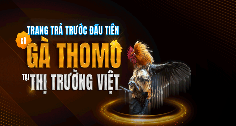 Những hình thức đá gà Thomo mà người chơi không thể bỏ lỡ